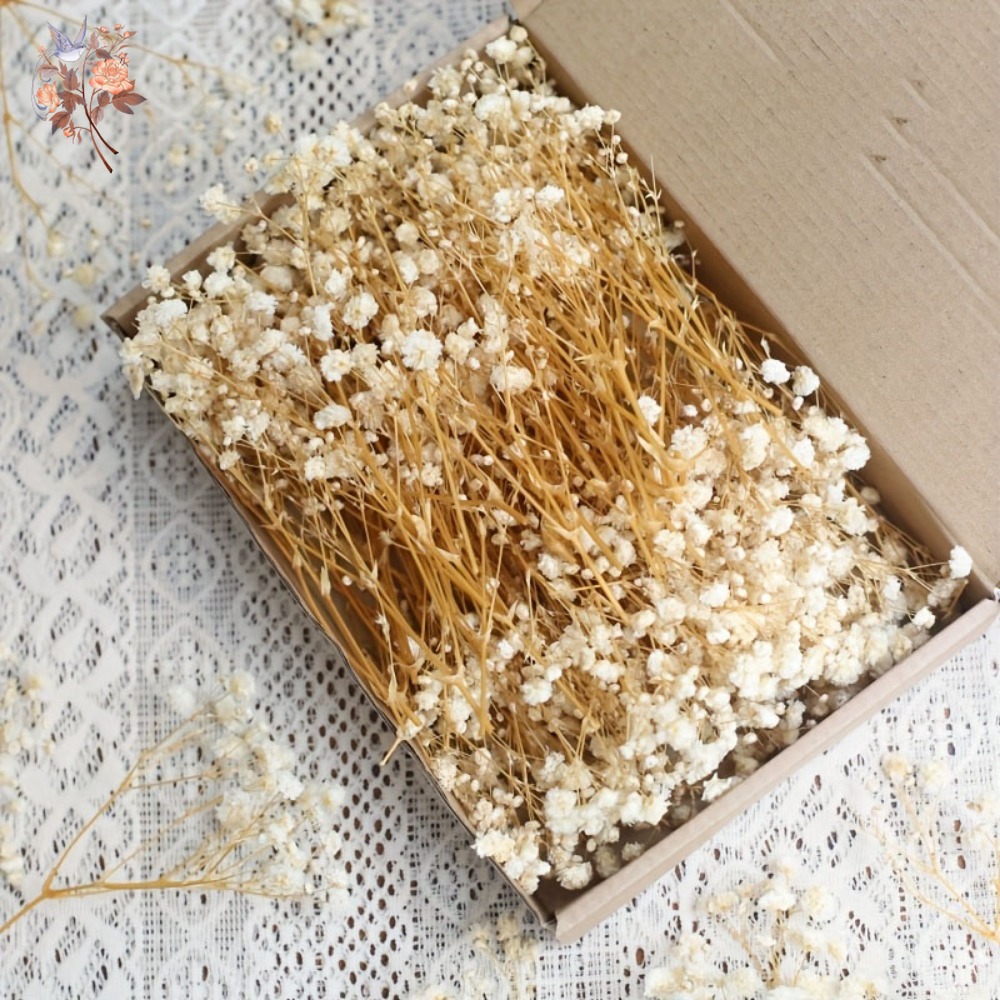 Craft Embellishment - 100 stuks Mini Gedroogde Baby's Breath