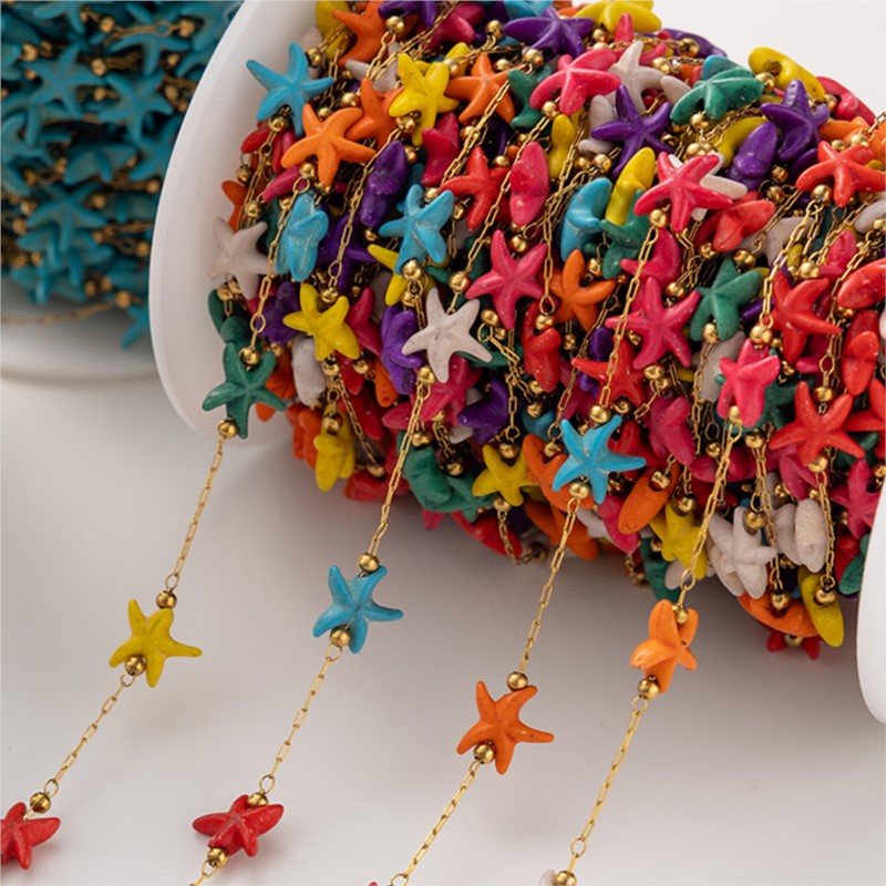1Meter Rvs Zeester Turquoise K - Pearl Trim Chain recensie en prijs