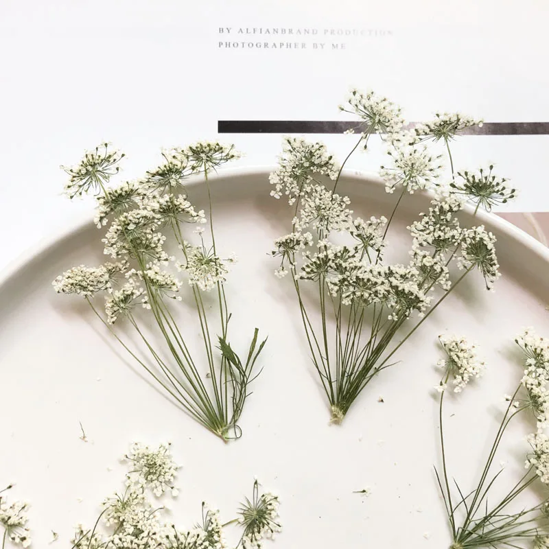 5-7 cm/12 stks, Sneeuw Kleine  - Craft Embellishment recensie en prijs