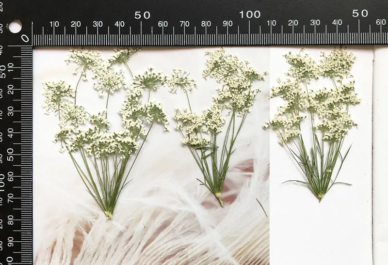 5-7 cm/12 stks, Sneeuw Kleine  - Craft Embellishment recensie en prijs