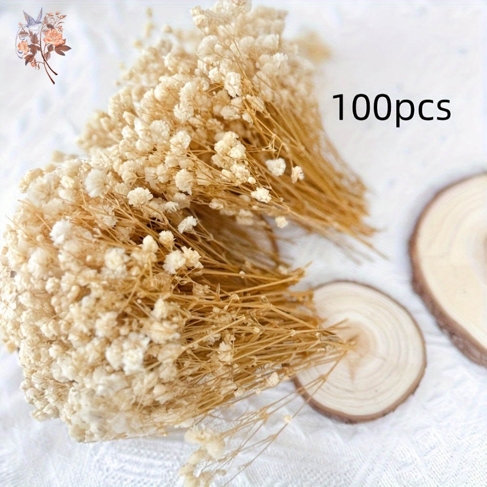 100 stuks Mini Gedroogde Baby' - Craft Embellishment recensie en prijs