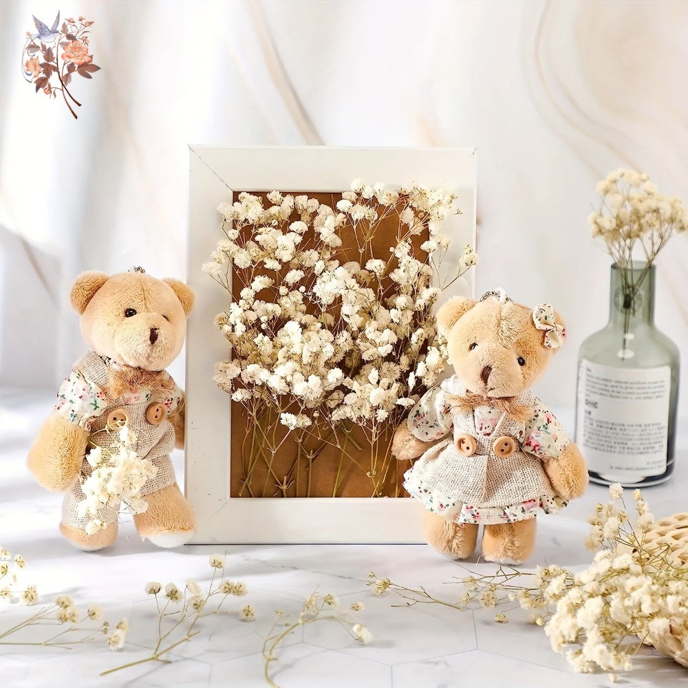 100 stuks Mini Gedroogde Baby' - Craft Embellishment recensie en prijs