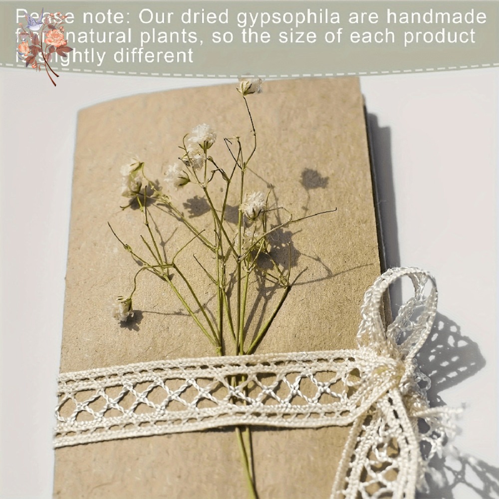 100 stuks Mini Gedroogde Baby' - Craft Embellishment recensie en prijs